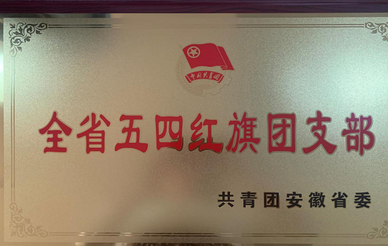 best365官网电气信息工程学院2018级通信工程团总支荣获“全省五四红旗团（总）支部”称号